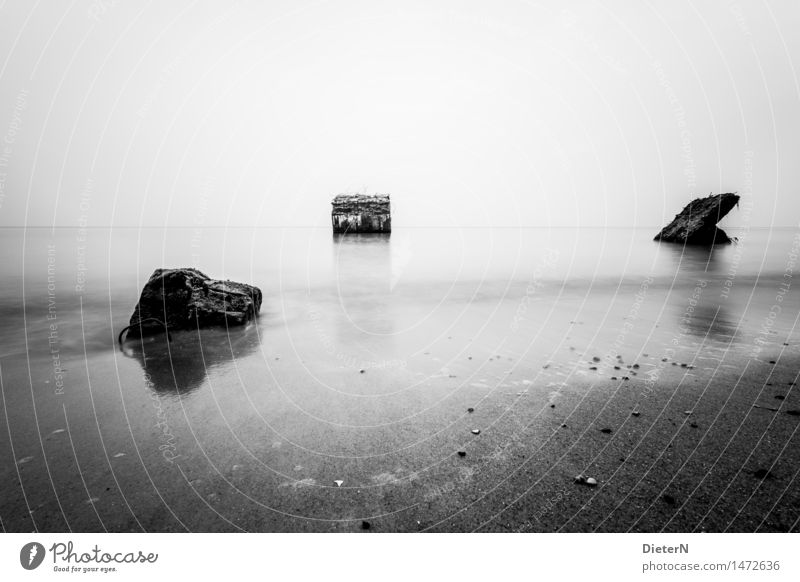 Bunker Landschaft Sand Herbst Küste Strand Ostsee Meer grau schwarz weiß Darß Betonplatte Horizont Himmel Wustrow Mecklenburg-Vorpommern Wasser Schwarzweißfoto