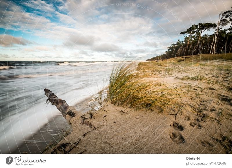 Sturm Strand Meer Wellen Natur Landschaft Sand Wasser Wolken Horizont Wetter Wind Küste Ostsee blau braun gelb weiß Darß Gischt Mecklenburg-Vorpommern