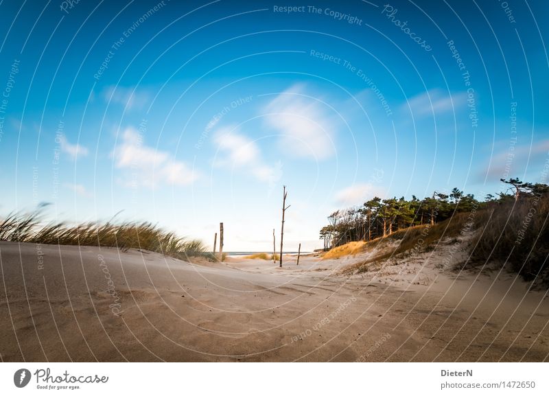 Küste Strand Meer Wellen Natur Landschaft Sand Wasser Wolken Horizont Wetter Wind Sturm Ostsee blau braun grün weiß Darß Gischt Mecklenburg-Vorpommern