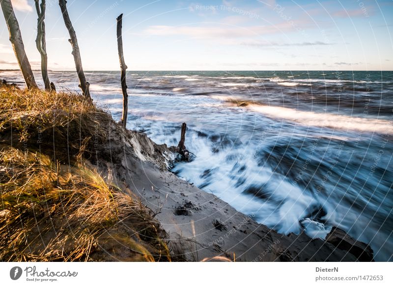 Wellengang Strand Meer Natur Landschaft Sand Wasser Wolken Horizont Wetter Wind Sturm Küste Ostsee blau gelb weiß Darß Gischt Mecklenburg-Vorpommern Weststrand