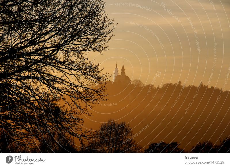 Sonnenuntergang Pöstlingberg Natur Landschaft Himmel Sonnenaufgang Winter Schönes Wetter Baum Park ästhetisch gelb gold orange schwarz Stimmung Warmherzigkeit