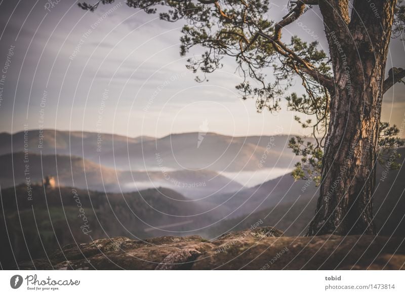 Ausblick Natur Landschaft Pflanze Himmel Wolken Horizont Sonnenaufgang Sonnenuntergang Schönes Wetter Nebel Baum Wiese Wald Hügel Felsen Gipfel Ruine Ferne