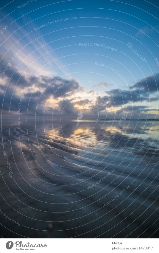 Ebbe Ferien & Urlaub & Reisen Ausflug Strand Meer Wellen Umwelt Natur Landschaft Urelemente Erde Sand Wasser Himmel Wolken Sonnenaufgang Sonnenuntergang Küste