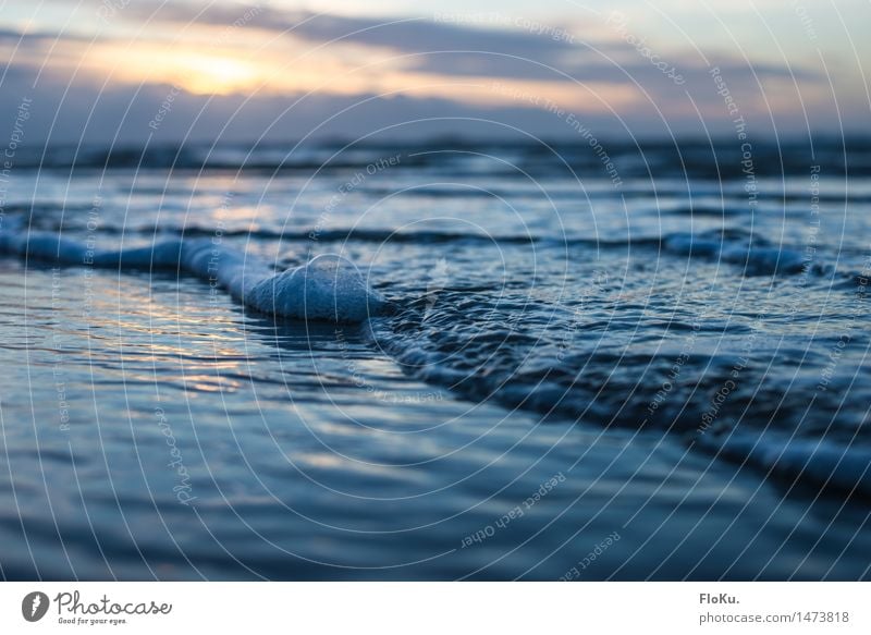 Was ist die niedliche Form von Brandung? Brändchen? Ferien & Urlaub & Reisen Strand Meer Umwelt Natur Urelemente Erde Sand Wasser Himmel Sonnenaufgang