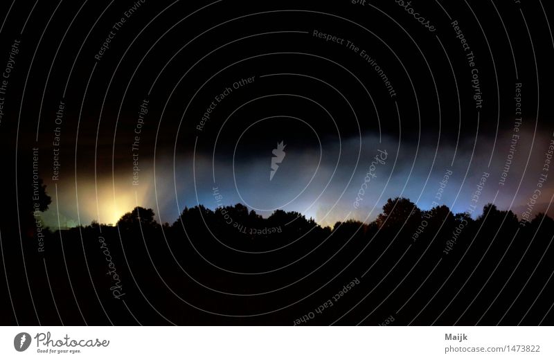 Lichter wald Umwelt Landschaft Wolkenloser Himmel Herbst Nebel Feld Wald Anthering Salzburg Europa Dorf Straße geheimnisvoll Industrie Mitternacht Farbfoto