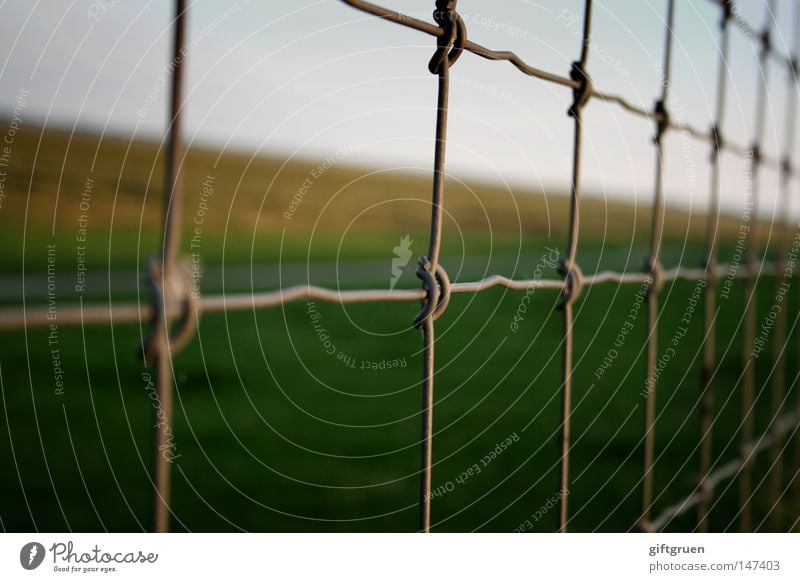 kleinkariert & quergestreift penibel Streifen Maschendraht Zaun Maschendrahtzaun Aussicht geschlossen gefangen stoppen Deich Spaziergang Horizont Gitter