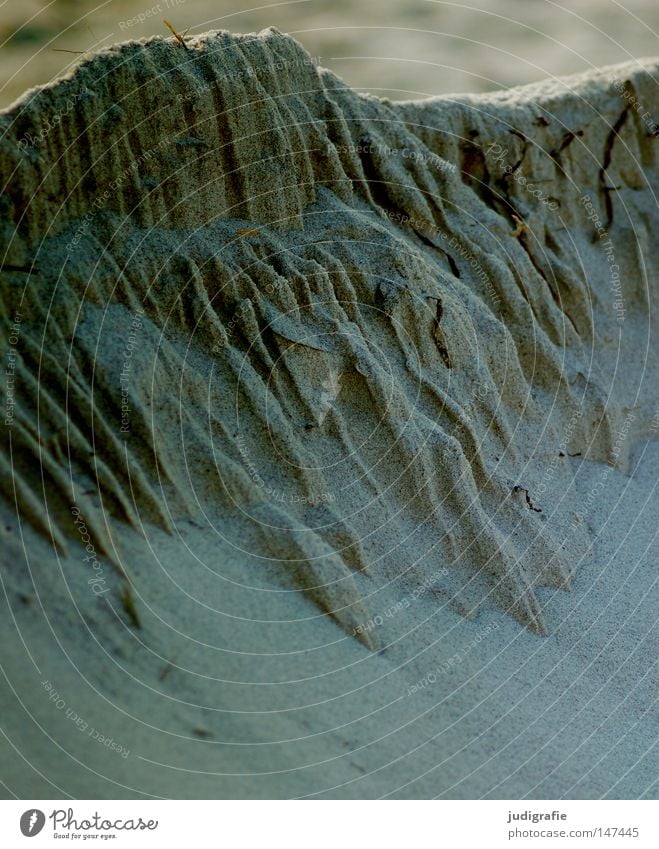 Strandlandschaft Sand Küste Strukturen & Formen Berge u. Gebirge Vulkankrater Gletscher Schlucht Berghang groß klein Weststrand Darß Ostsee Farbe sandgebilde