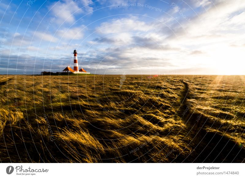 Leuchtturm Westerhever und Sonnenleuchten Ferien & Urlaub & Reisen Tourismus Ausflug Abenteuer Ferne Freiheit Umwelt Natur Landschaft Pflanze Winter Nordsee