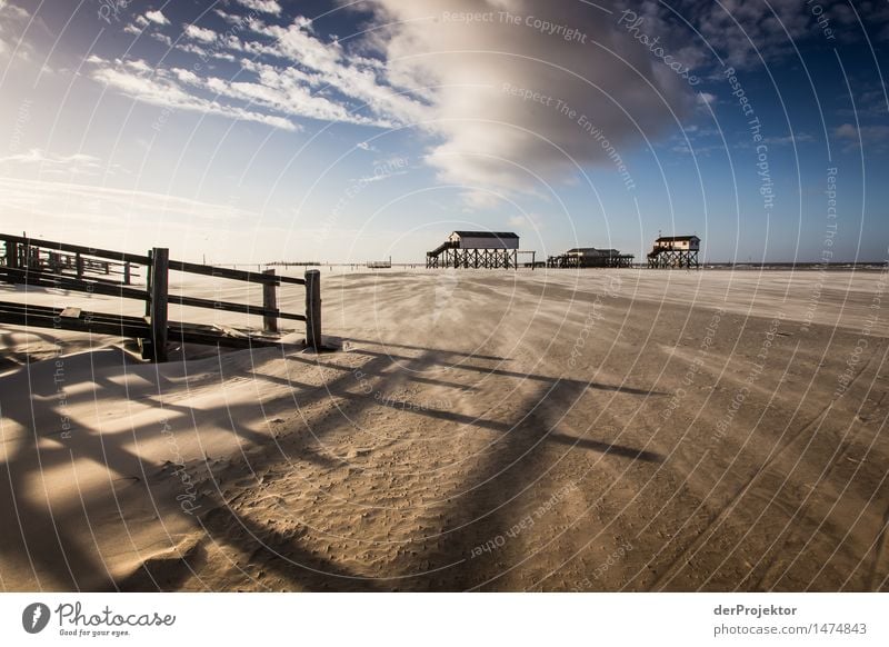 Lange Schatten bei den Gifthäuschen Ferien & Urlaub & Reisen Tourismus Ausflug Abenteuer Ferne Freiheit wandern Umwelt Natur Sand Winter Schönes Wetter Wellen