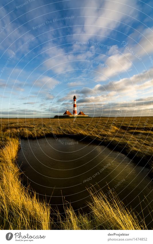 Leuchtturm Westerhever an der Nordsee im Winter mit kleinem See Ferien & Urlaub & Reisen Tourismus Ausflug Abenteuer Ferne Freiheit wandern Umwelt Natur