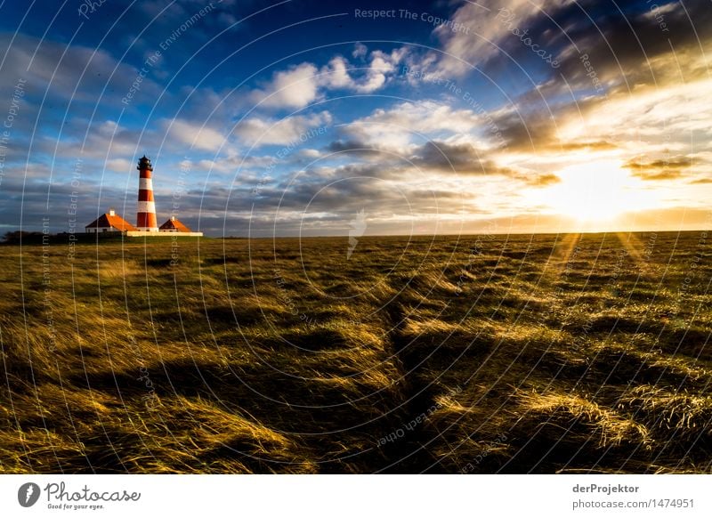 Leuchtturm Westerhever an der Nordsee im Watt im winter Ferien & Urlaub & Reisen Tourismus Ausflug Abenteuer Ferne Freiheit Sightseeing wandern Umwelt Natur