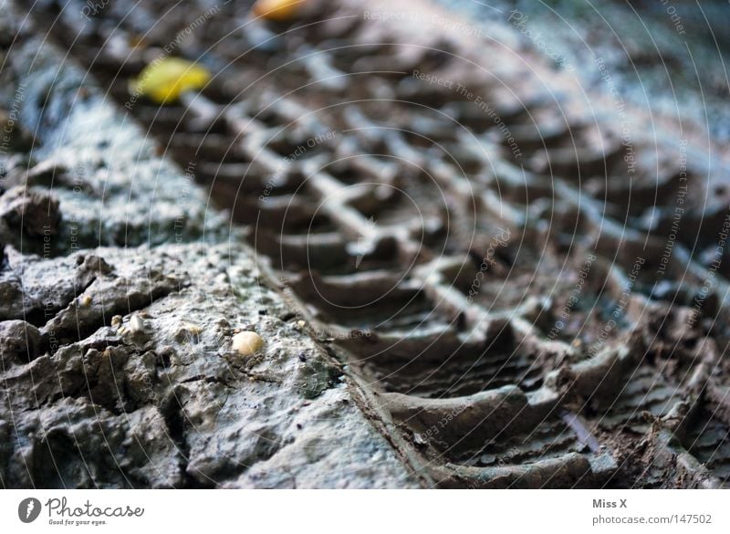 Track 2 Farbfoto Außenaufnahme Dämmerung Silhouette Profil Erde Herbst Blatt Straße Wege & Pfade dreckig braun grau matschig steinig erdig Schlamm Reifenspuren