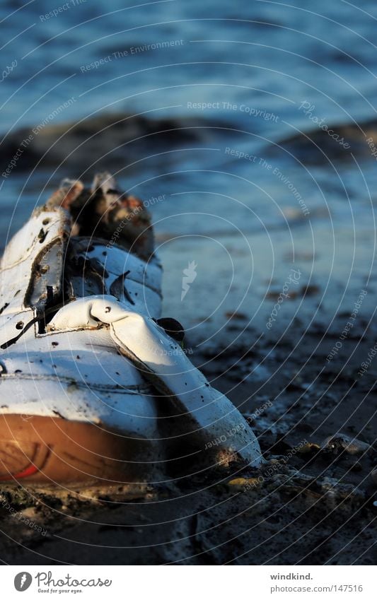 Strandgut Schuhe Meer gestrandet fremd Müll nutzlos unabsichtlich kalt Herbst Wind Winter Turnschuh Umweltverschmutzung gedankenlos verloren Vergänglichkeit