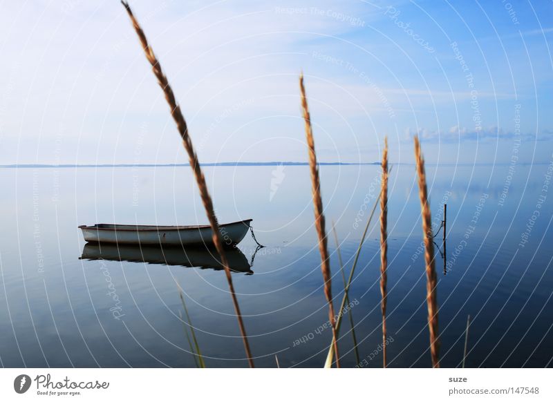 Klarheit Zufriedenheit Erholung ruhig Ferien & Urlaub & Reisen Umwelt Natur Landschaft Urelemente Luft Wasser Himmel Horizont Sommer Meer Ruderboot kalt blau