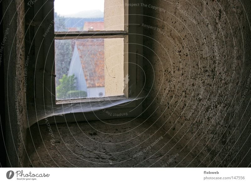 Fensterblick alt Spinnennetz Spinngewebe Kirche Aussicht Haus dunkel braun Kirchenfenster dreckig Architektur verstaubt