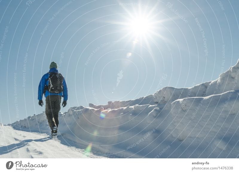 Unterwegs im Winter. maskulin Junger Mann Jugendliche Erwachsene 1 Mensch 18-30 Jahre 30-45 Jahre Wolkenloser Himmel Sonne Sonnenlicht Schönes Wetter Schnee