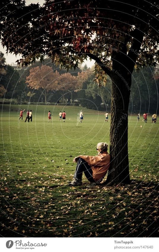 Rast Park Joggen Jogger laufen Laufsport Läufer Pause Erholung Baum Herbst Blatt Fußball Wiese Fußballplatz atmen beobachten Jahreszeiten Baumstamm anlehnen