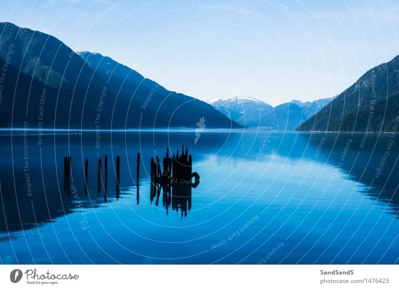 Vertrauen Umwelt Natur Landschaft Wasser Schneebedeckte Gipfel Seeufer Stimmung Gelassenheit ruhig Farbfoto Außenaufnahme Menschenleer Morgen Tag Kontrast