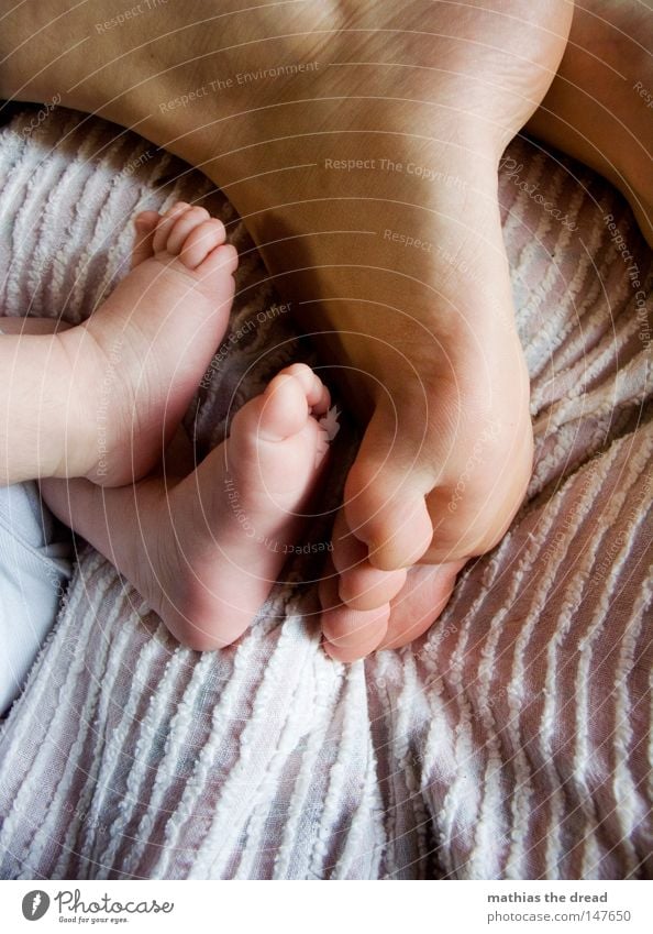 FEET 2 Paar Kind Familie & Verwandtschaft Fuß Baby groß klein liegen Erholung Fußsohle Junge ruhen Pause winzig Beine Mensch ruhig Schuhe Kleinkind Vater Tuch