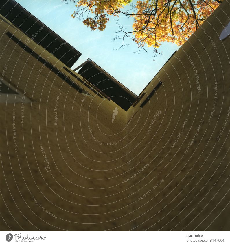 Y Ecke Haus Hof Hinterhof Miete Stadthaus Treppe Etage Fenster Fassade Vorderseite schmuddelig dreckig Müll Eingang gelb Putz Fallrohr Dach Dachrinne Domizil