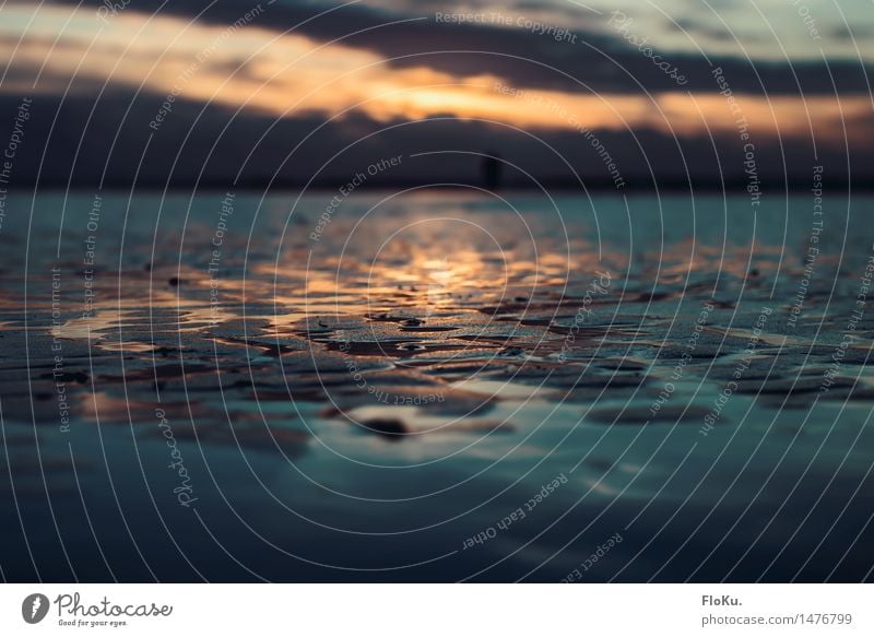 Farben im Wattenmeer Ferien & Urlaub & Reisen Strand Meer Umwelt Natur Urelemente Erde Sand Wasser Wolken Sonne Sonnenaufgang Sonnenuntergang Sonnenlicht