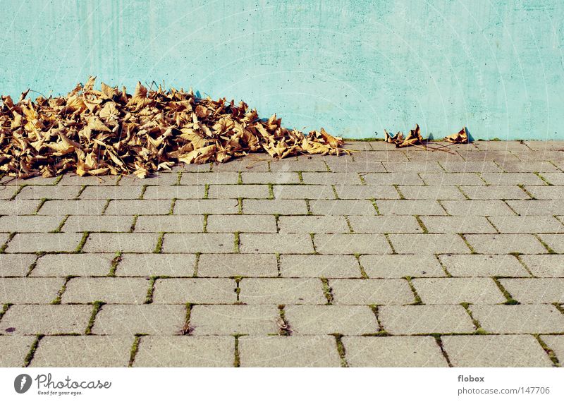 Weimarer Laub Blatt Herbstlaub mehrfarbig Oktober November September gelb Herbstfärbung Ahornblatt Baum Haufen Anhäufung Hintergrundbild Jahreszeiten pflastern