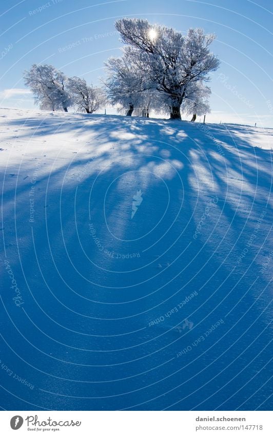 neue Weihnachtskarte 4 Sonne Sonnenstrahlen Winter Schnee Schwarzwald weiß Tiefschnee wandern Freizeit & Hobby Ferien & Urlaub & Reisen Hintergrundbild Baum