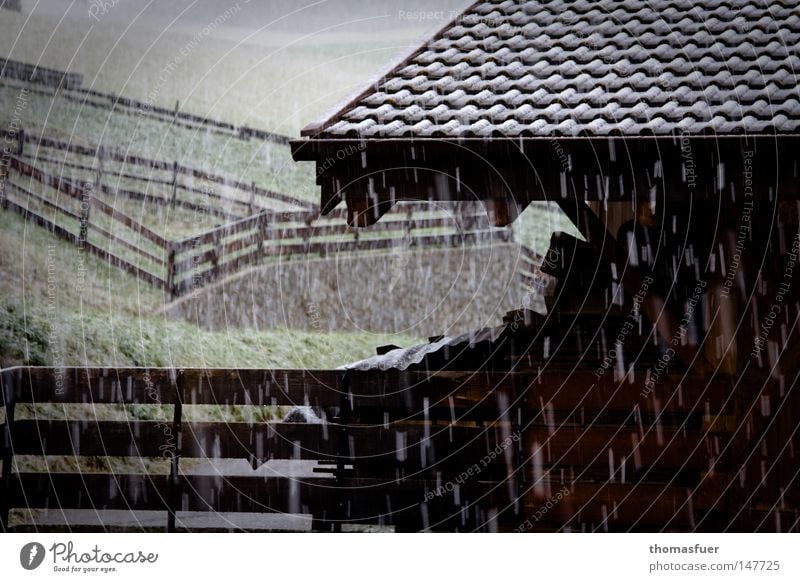 Schneefall auf der Alm Schneematsch kalt schlechtes Wetter Glühwein Hütte Stall Berge u. Gebirge Dolomiten Wolken Abend ruhig Bundesland Tirol Herbst