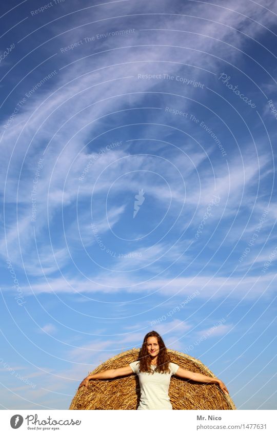 Das Runde muss in das Eckige Strohballen Himmel Sommer Wolken blau gelb sommerlich Schönes Wetter arme ausgestreckt schleierwolken langhaarig Sommergefühl