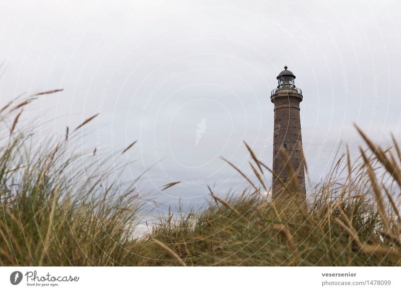 Leuchtturm Skagen Fyr Ferien & Urlaub & Reisen Landschaft Gras Küste Nordsee Schifffahrt alt leuchten historisch hoch einzigartig maritim rund Gefühle