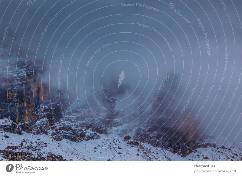 wenn's dem Morgen graut Ausflug Abenteuer Winter Schnee Winterurlaub Berge u. Gebirge wandern Landschaft Wolken schlechtes Wetter Wind Nebel Sträucher Felsen