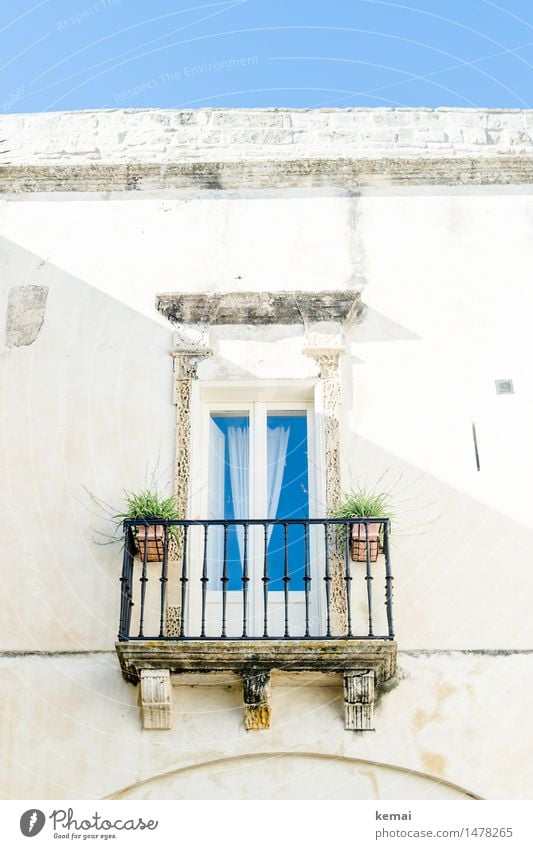 Adrett Gardine Wolkenloser Himmel Sommer Schönes Wetter Topfpflanze Monopoli Apulien Italien Kleinstadt Altstadt Haus Gebäude Mauer Wand Fassade Balkon Fenster