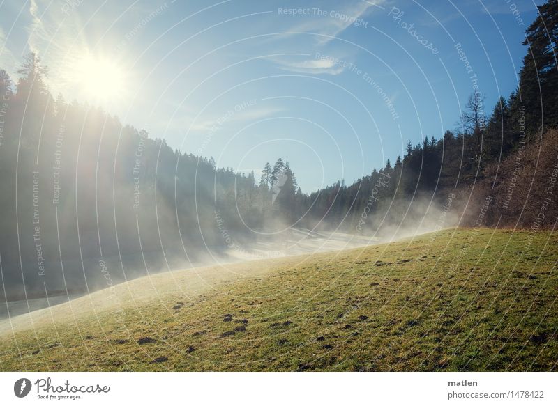 Zinsbachtal Natur Landschaft Pflanze Himmel Wolkenloser Himmel Horizont Sonne Sonnenlicht Winter Klimawandel Wetter Schönes Wetter Nebel Gras Wiese Wald Hügel