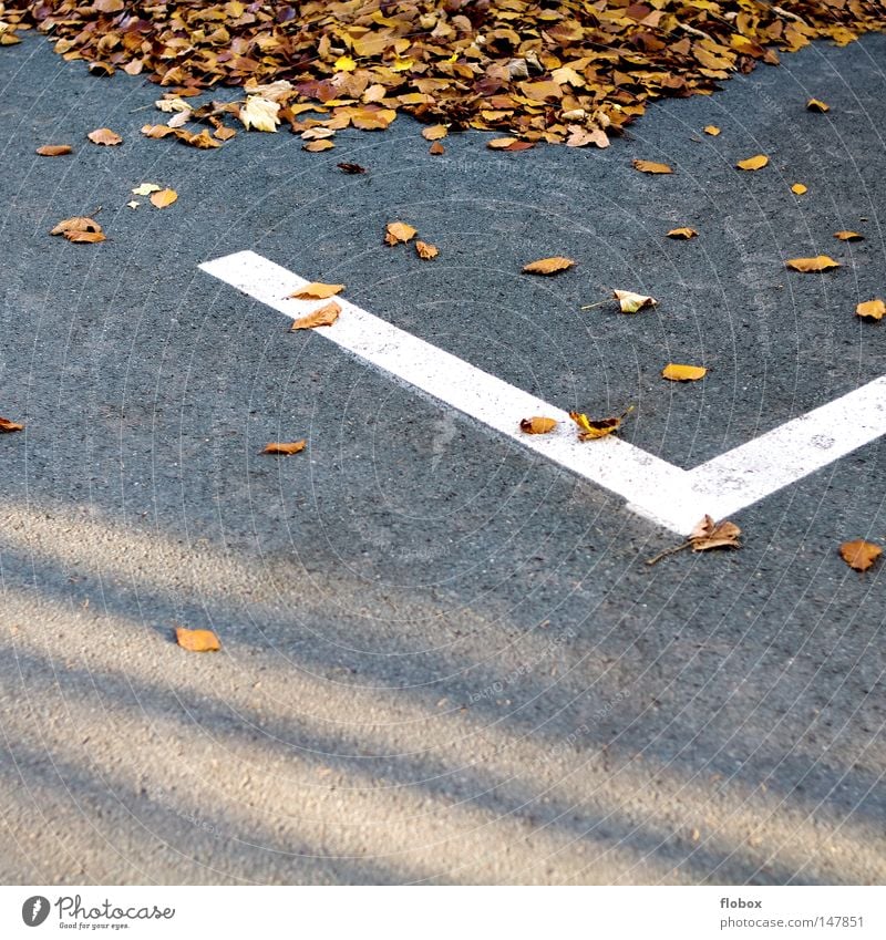 Eingeparkt Blatt Herbstlaub mehrfarbig Oktober November September gelb Herbstfärbung Ahornblatt Asphalt Parkplatz parken Seitenlinie Baum Haufen Anhäufung