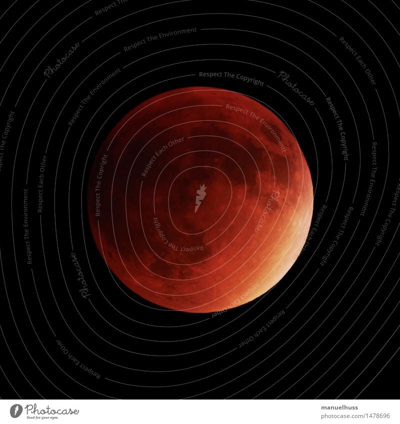 Superblutmond Nachthimmel Mond Mondfinsternis Vollmond groß rot Wissenschaften Astronomie Raumfahrt dunkel Teleskop Zoomeffekt Detailaufnahme Weltall