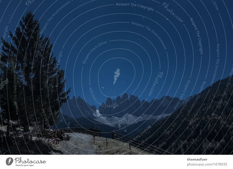 Mondnacht Ferne Winter Berge u. Gebirge wandern Umwelt Natur Landschaft Wolkenloser Himmel Nachthimmel Stern Horizont Vollmond schlechtes Wetter Eis Frost Baum