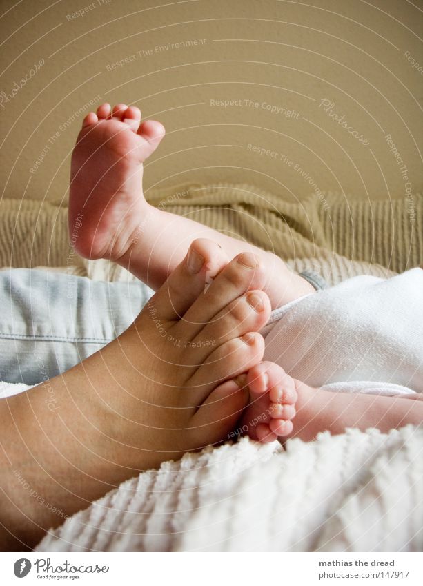 FEET II 2 Paar Kind Familie & Verwandtschaft Fuß Baby groß klein liegen Erholung Fußsohle Junge ruhen Pause winzig Beine Mensch ruhig Schuhe Kleinkind Vater