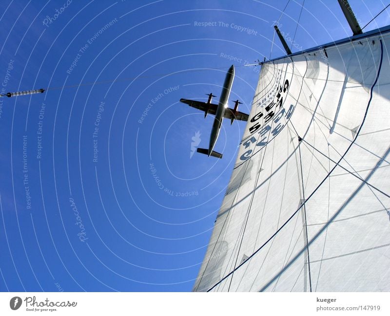 Segelzeug Flugzeug Himmel Fernweh frei Treffpunkt Bewegung Freude Wassersport sailaway weiß Wasserfahrzeug Kopenhagen blau azurblau grau fliegen Freiheit Ferne