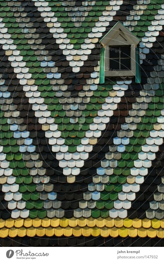 hallo wien Dom Stephansdom Kirche Taube Kot Dach Muster Geometrie Dachziegel mehrfarbig Farbe weiß grün schwarz gelb Dreieck Gotteshäuser Moral Wahrzeichen