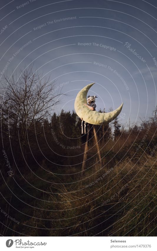 Mein Freund Mensch feminin Frau Erwachsene 1 Subkultur Rockabilly Umwelt Natur Himmel Horizont Mond Herbst Winter Pflanze Sträucher Feld beobachten glänzend