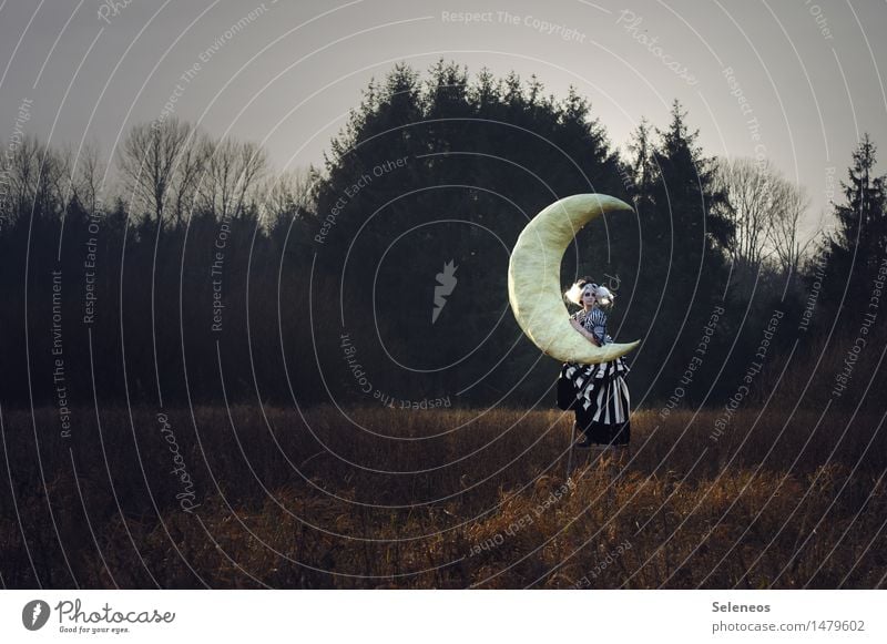 Moon Ferne Freiheit Mensch feminin Frau Erwachsene 1 Subkultur Rockabilly Umwelt Natur Landschaft Himmel Mond Herbst Winter Sträucher Wiese Feld Wald festhalten