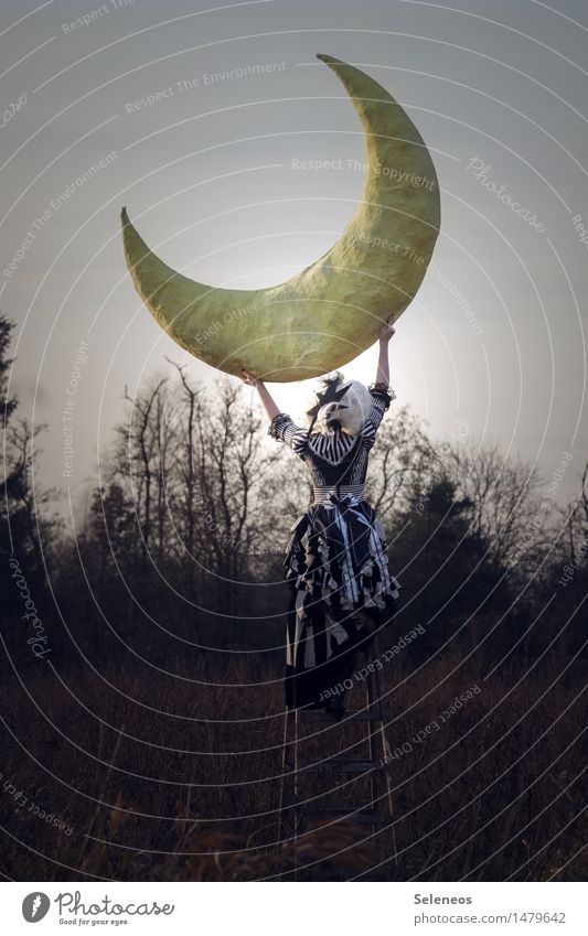 the moon Mensch feminin Frau Erwachsene 1 Umwelt Natur Himmel Nachthimmel Mond Herbst Winter Wald Kleid träumen gigantisch Unendlichkeit Farbfoto Außenaufnahme