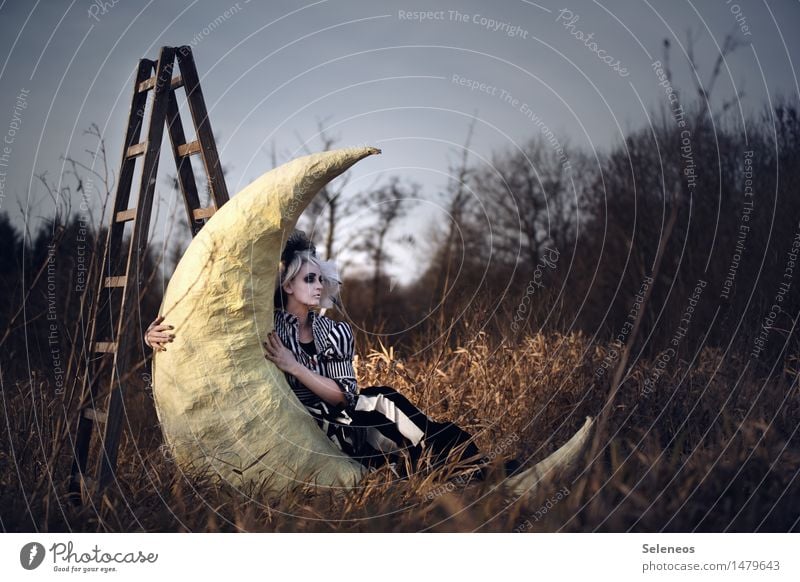 Moon Mensch feminin Frau Erwachsene 1 Subkultur Rockabilly Umwelt Natur Landschaft Mond Herbst Wiese Feld Leiter festhalten träumen Märchenlandschaft Farbfoto