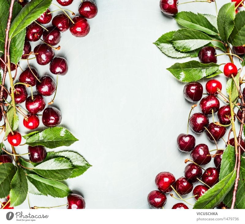 Kirschen mit Zweigen und Blättern Lebensmittel Frucht Ernährung Frühstück Stil Gesunde Ernährung Sommer Garten Tisch Natur Design Vitamin Zweige u. Äste Blatt