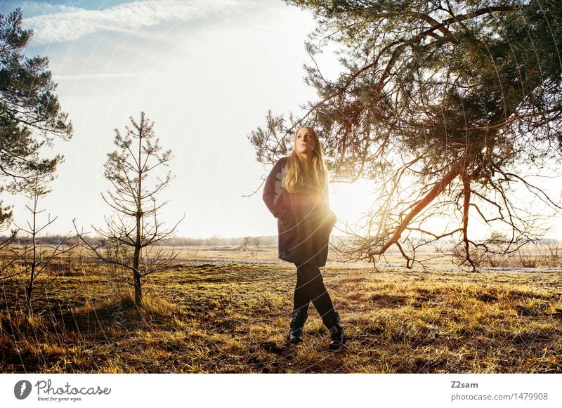 My sunshine Lifestyle elegant Stil Junge Frau Jugendliche 18-30 Jahre Erwachsene Natur Landschaft Herbst Schönes Wetter Baum Sträucher Wiese Mode Mantel