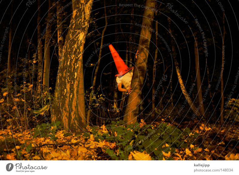 rumpelstilzchen Mann Mensch Dach Stuhlgang urinieren besetzen Miettoilette Baustelle klein groß Humor Kunst Wald Baum Baumstamm ökologisch Nacht Märchen