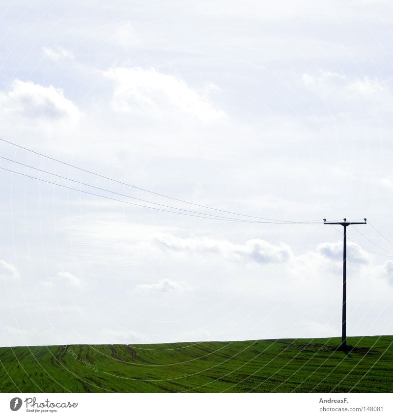 Lange Leitung Elektrizität Kabel Stahlkabel Hochspannungsleitung Strommast Oberleitung Energiewirtschaft Landschaft Feld Himmel Energiekrise energiegeladen