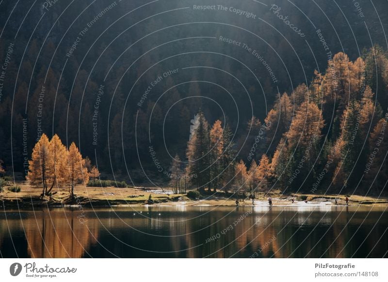 Paradies See Gebirgssee Reflexion & Spiegelung Baum Herbst Fluss Bach Wasser Wald Schatten wandern gelb orange braun mehrfarbig Nadelbaum Nadelwald Lärche