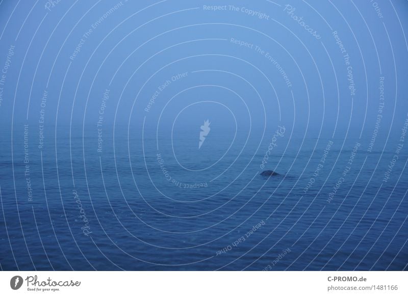 Meernebel Horizont Wetter schlechtes Wetter Nebel Wellen Küste Ostsee Wasser blau ruhig Traurigkeit Fernweh Natur geschlossen dunkel Farbfoto Außenaufnahme