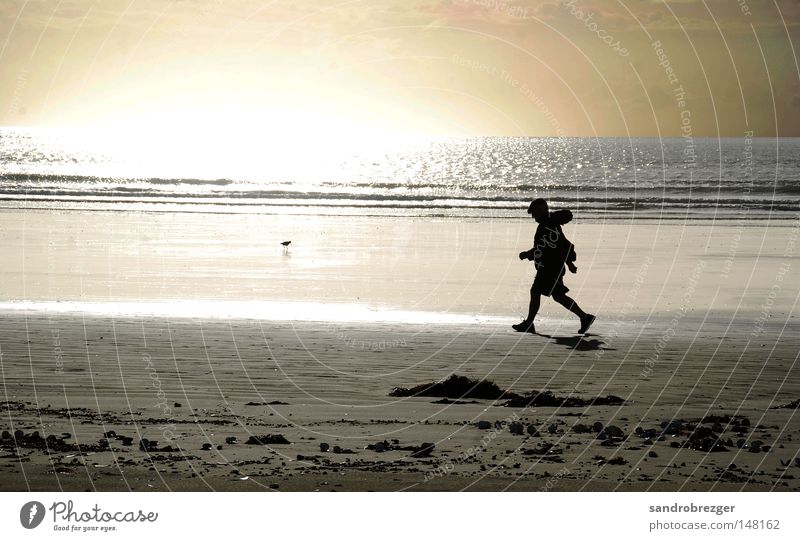 walk the line Sonnenuntergang Meer Strand Joggen Jogger Sonnenaufgang Spielen Spaziergang laufen